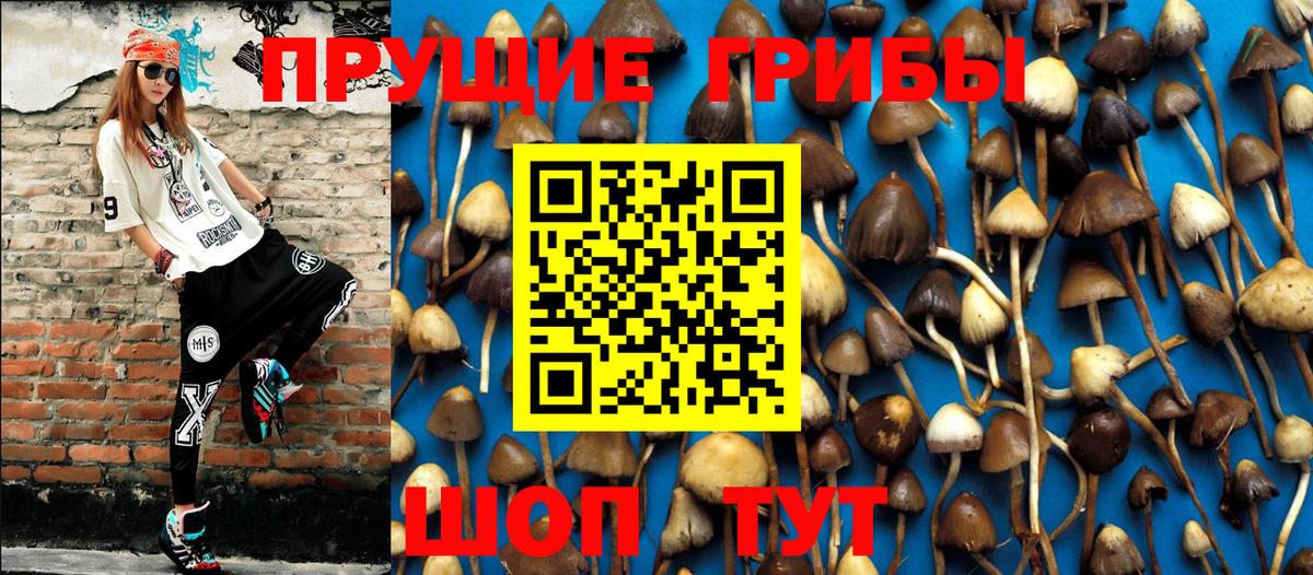 Нижний Новгород  Псилоцибиновые грибы Psilocybe  Вход с VPN 