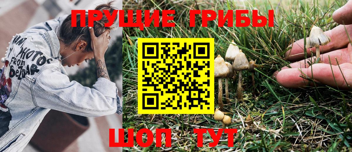 Псилоцибиновые грибы ЛСД Нижний Новгород